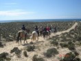 Horse riding along the coast near Albufeira